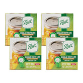 Ball Regular Mouth Lids front view sealing freshness for mason jars