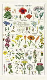 CAVANILLI AND CO Wildflowers Tea Towel multicolor on display for drying dishes
