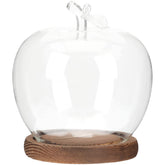 DOITOOL glass dome cover over preserved flowers enhances elegant desk display.