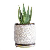 D'vine Dev 4-inch planter front view with smoked white finish for stylish indoor displays.