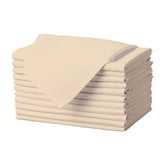 Gee Di Moda 17x17 beige napkins set of 12 for elegant table settings