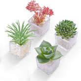 HEY FOLY succulent fridge magnet adds a playful 3D touch to your fridge.