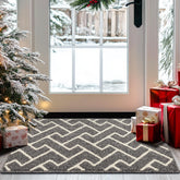 hicorfe Indoor Doormat absorbs moisture at the front door for cleaner floors.