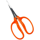 Jinzheng Chikamasa B-500SL stainless-steel blade for precise grape pruning