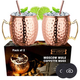 LIVEHITOP Moscow Mule copper mugs set of 2 for stylish cocktails at home
