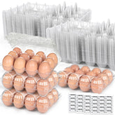LOVEINUSA clear egg cartons showing 60-pack bulk for easy market display