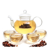 Moss & Stone glass teapot 27oz with infuser for clear brewing.
