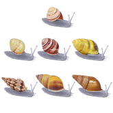 PPCLION snail-shell magnet full view decorative fridge accent for kitchens