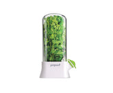 Prepara Herb Savor Eco water well base keeps herbs hydrated and fresh.