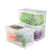 SILIVO lettuce keeper in fridge keeps greens fresh for salads