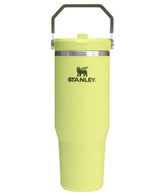 STANLEY IceFlow 2.0 tumbler with handle in Pink Mesa for on-the-go hydration