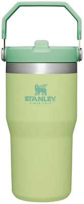 Stanley IceFlow flip straw tumbler 20oz in citron showing secure flip lid for on-the-go hydration.