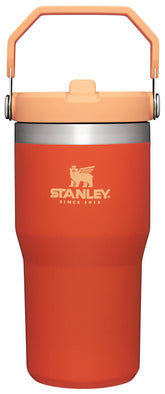 Stanley IceFlow tumbler with flip straw 20 oz keeps drinks cold on the go