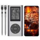 TEMMIO wireless meat thermometer with two probes for precise doneness.