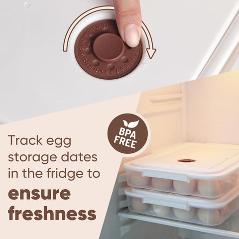 77L multipurpose egg tray ideal for picnics and camping