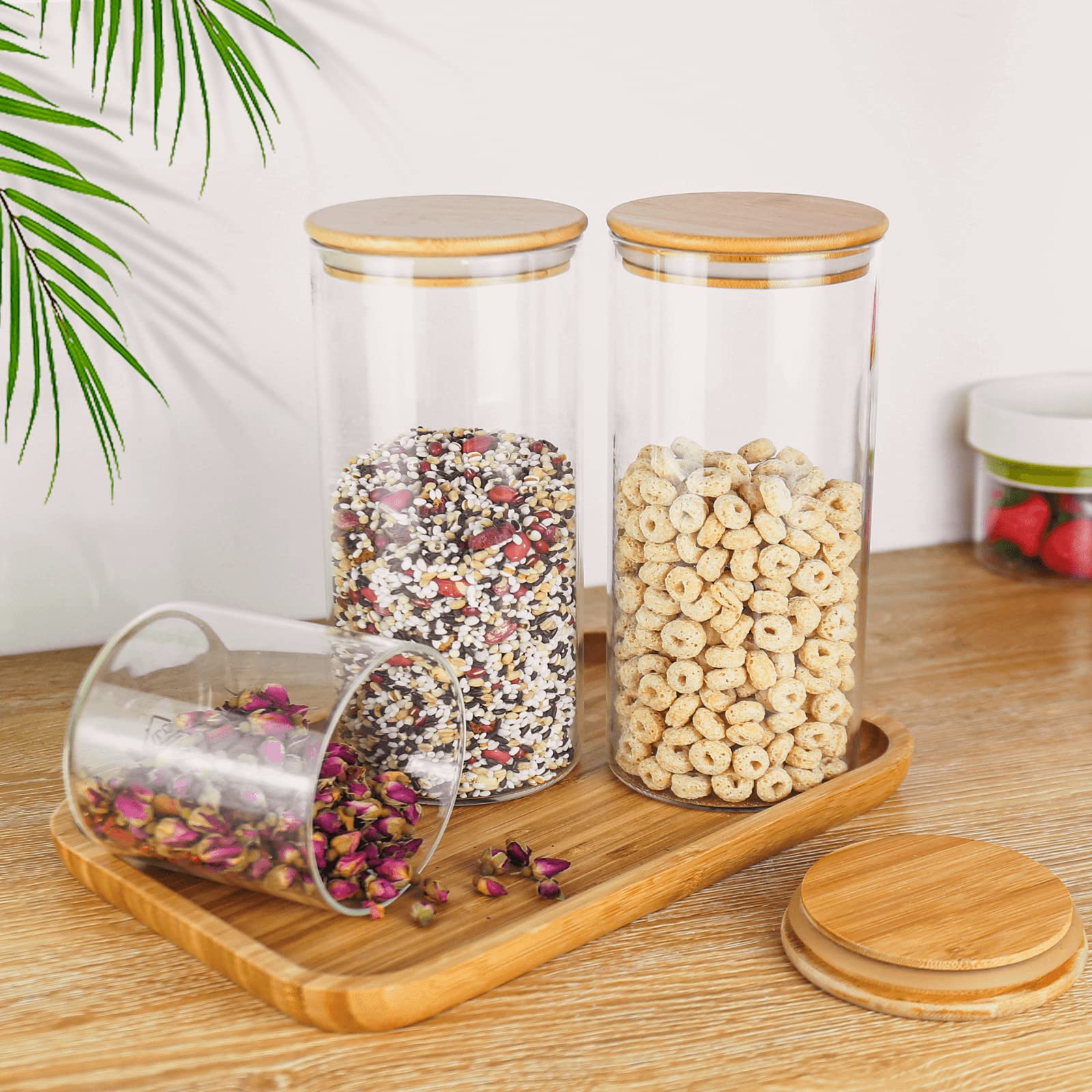 77L glass jar adds elegant storage to modern kitchens.