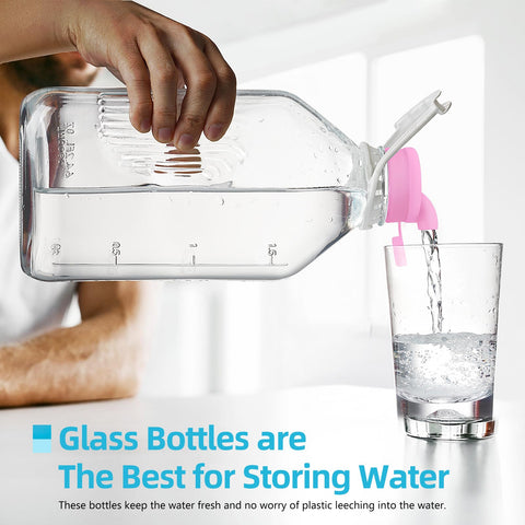 Absovetu glass jars are odorless and BPA-free for daily use.