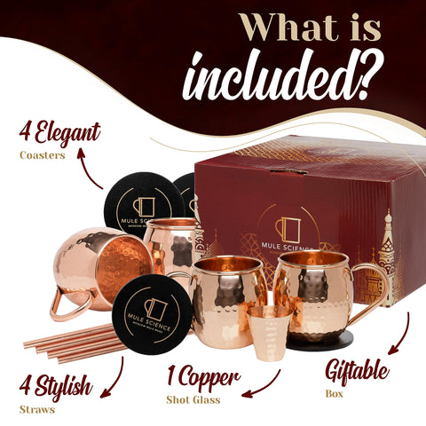 Advanced Mixology Mule Science 19 oz copper mugs ready for use