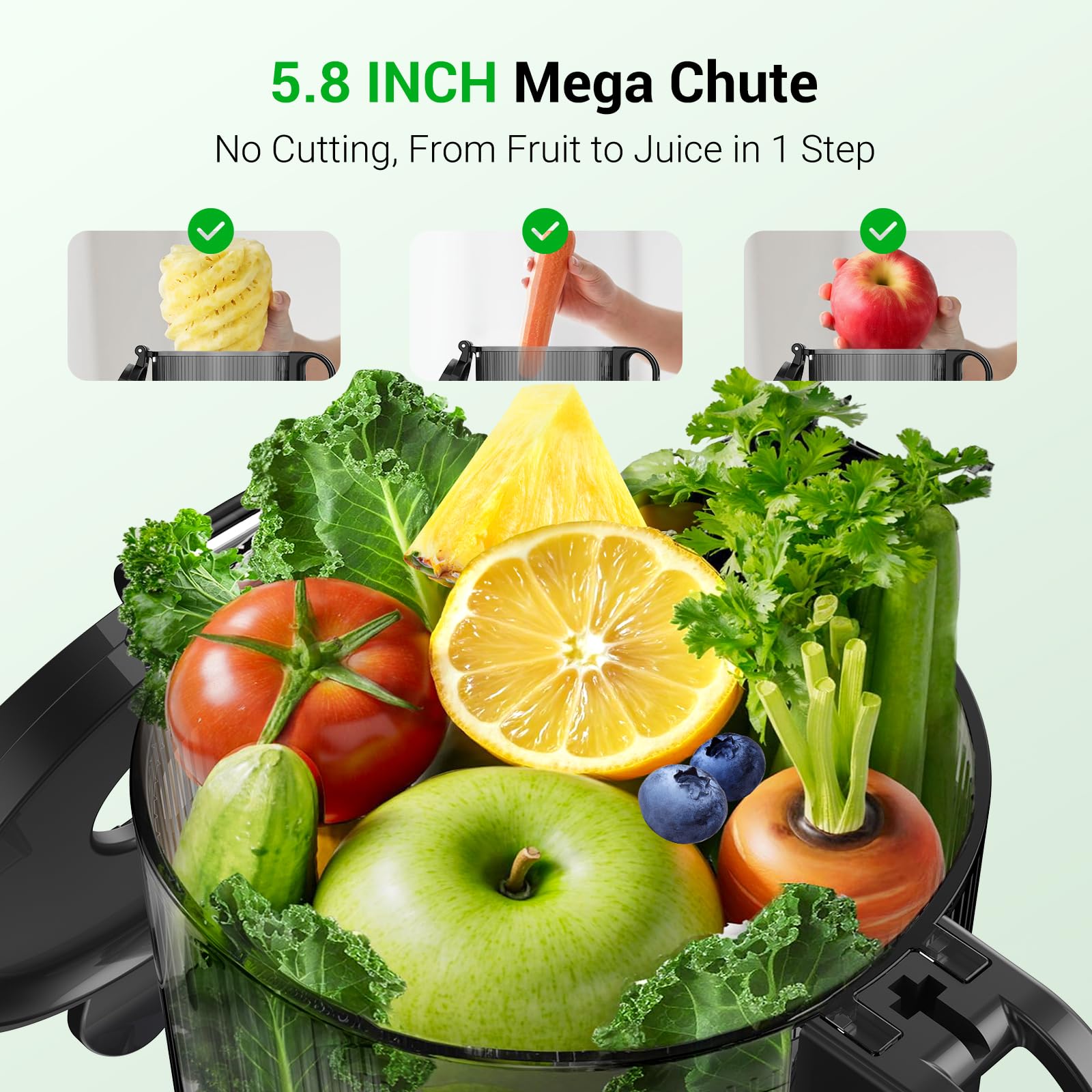 Aeitto juicer fitting whole fruits for faster batch juicing