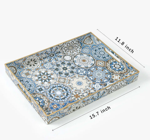 AGIOTA thickened plastic tray with smooth surface for quick cleaning