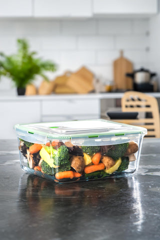AGTRADE large borosilicate bowl shows freezer-to-oven versatility