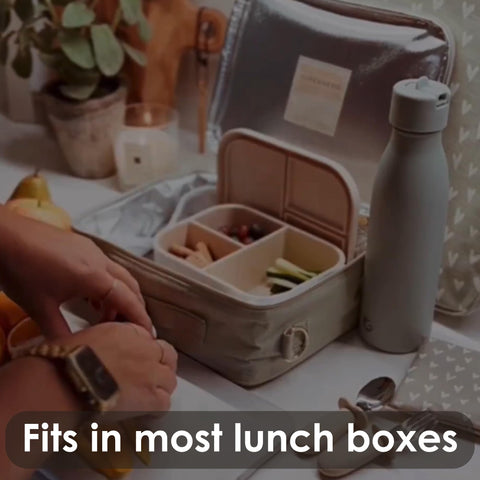 Ali+Oli pine BPA-free silicone material used in lunch box