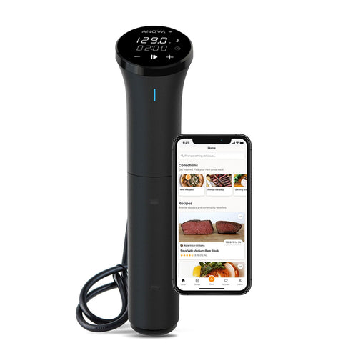 Anova Culinary Nano 3.0 in use delivering precise sous vide results at home.