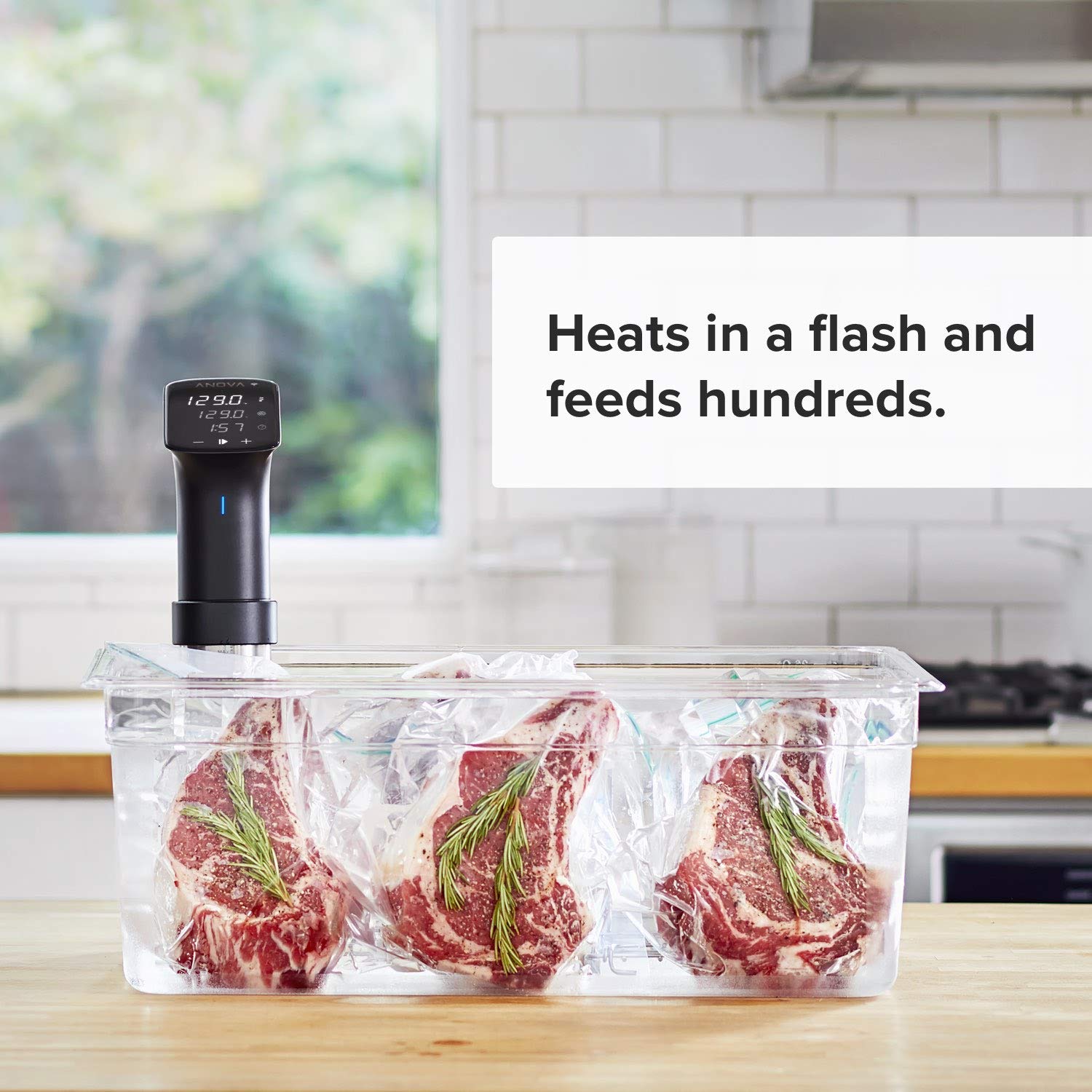 Anova Culinary Sous Vide Pro stainless steel body is built for heavy use.
