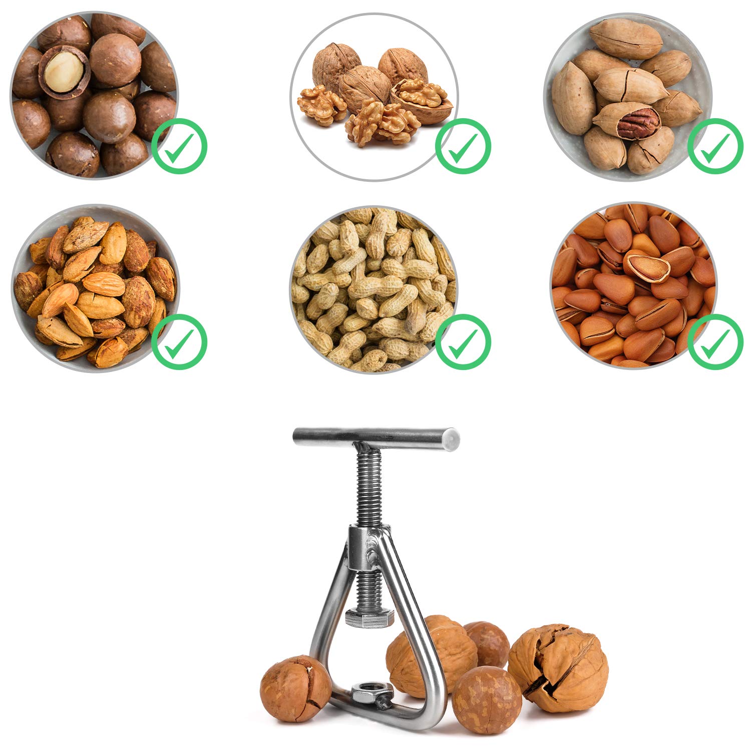 Anwenk stainless steel construction shown, durable tool for frequent nut cracking