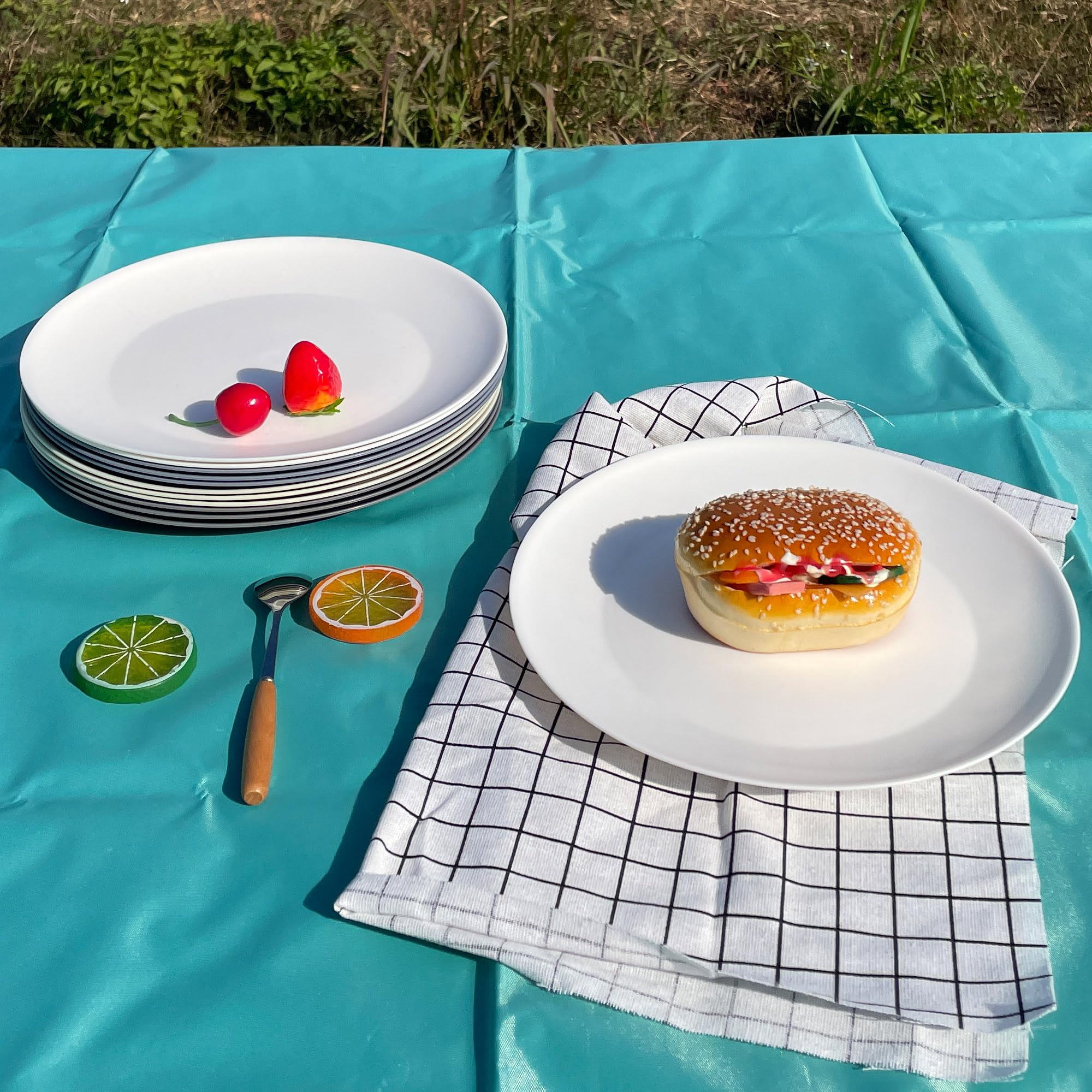 AOYITE 9.75 inch dinner plates ready for everyday meals