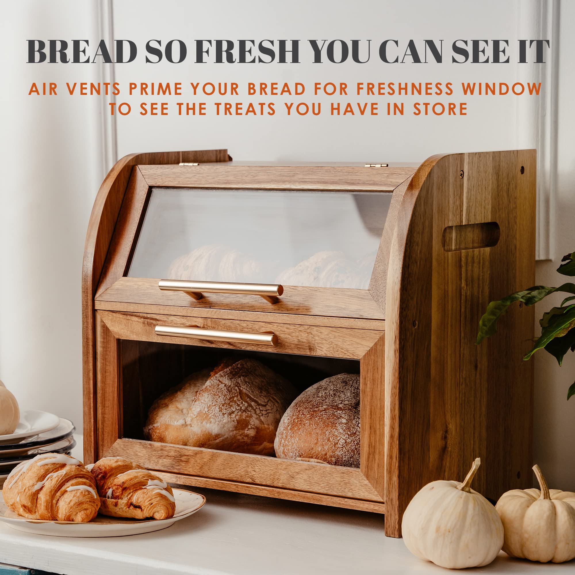 Apace Living Arise bread box window detail highlights clear windows showcasing bread.