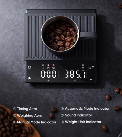 ApeWeghr compact design emphasizes portability and daily use practicality.