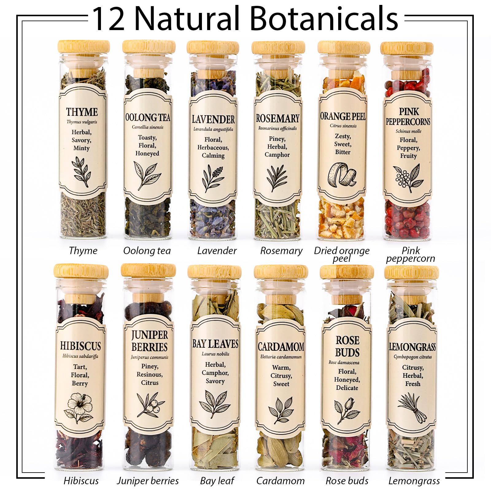 Apragaz Gin Making Kit hibiscus and botanicals for delicate floral flavors.