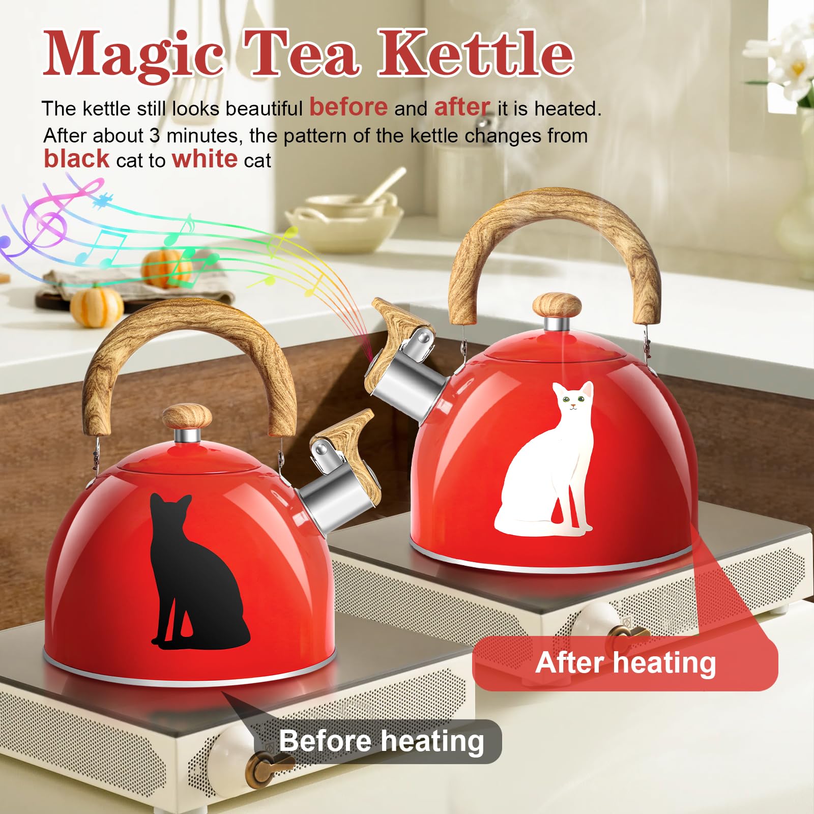 ARC 2-quart stainless steel tea kettle ready to prepare multiple cups.