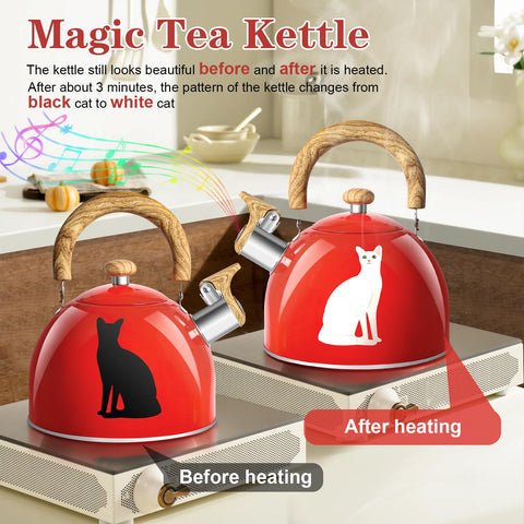 ARC 2-quart stainless steel tea kettle ready to prepare multiple cups.