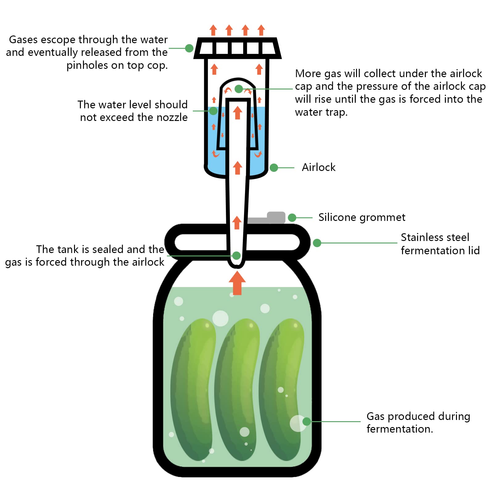 Artcome silicone tong safely handles weights on jars