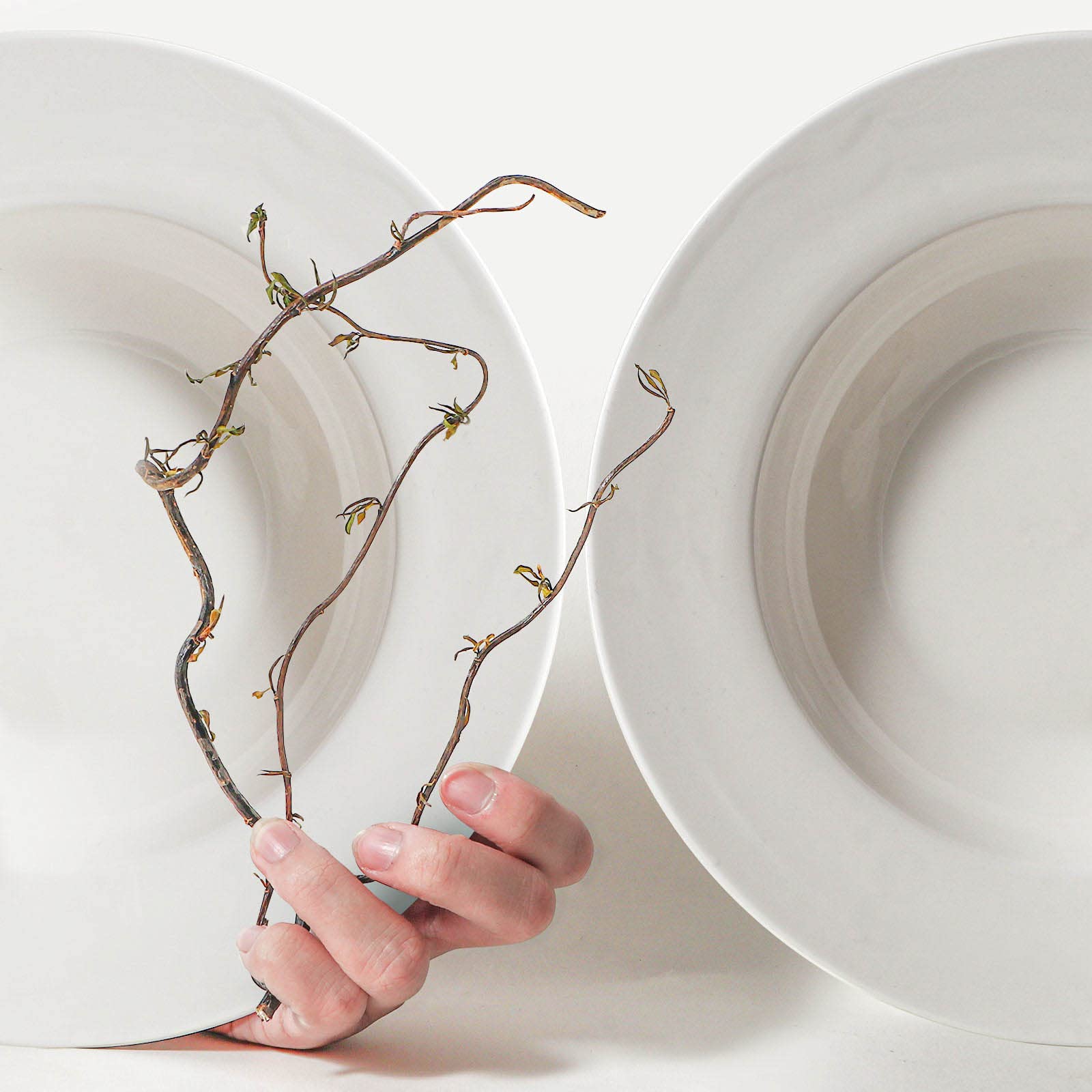 Artena gift-ready packaging for housewarmings and entertaining.