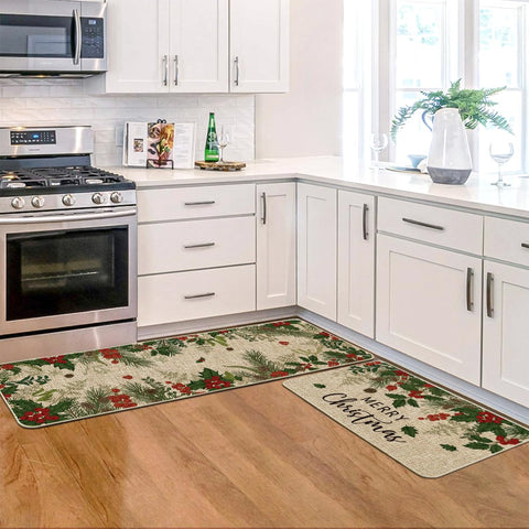 Artoid Mode winter decor entryway mat keeps dirt at bay