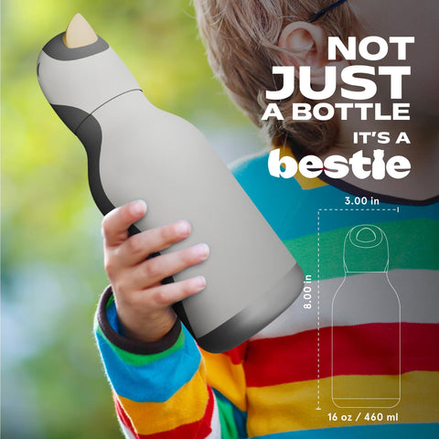 Asobu Bestie Bottle eco-friendly reusable design reduces single-use bottles