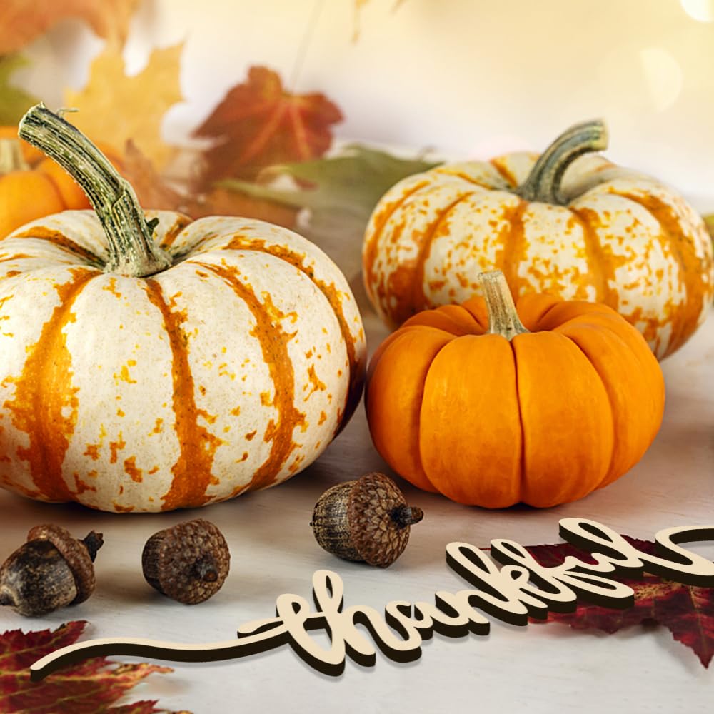 Fall-themed Aukolass decor adds cozy mood to Thanksgiving gatherings