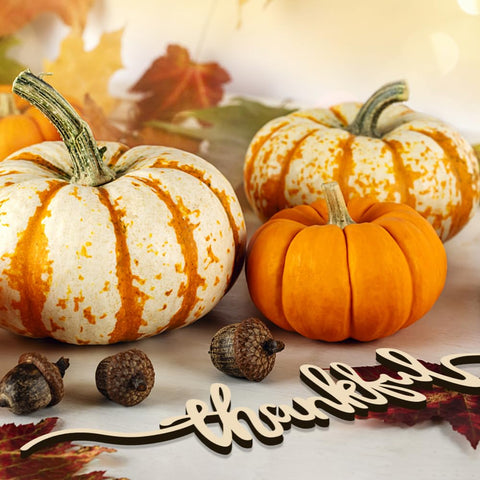 Fall-themed Aukolass decor adds cozy mood to Thanksgiving gatherings