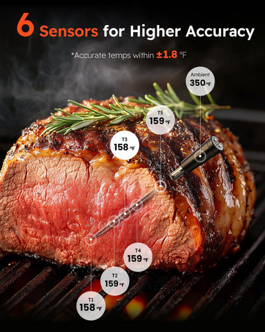 AYMDKI dual-probe in meat showing multitask monitoring