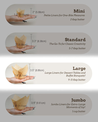 Bake Choice Nordic Paper packaging for 100pcs liners