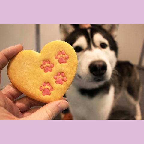 Bakerlogy 5mm dough thickness guide helps even cookies.