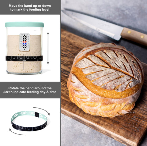 BALCI elastic feeding band tracks feeding days and times.
