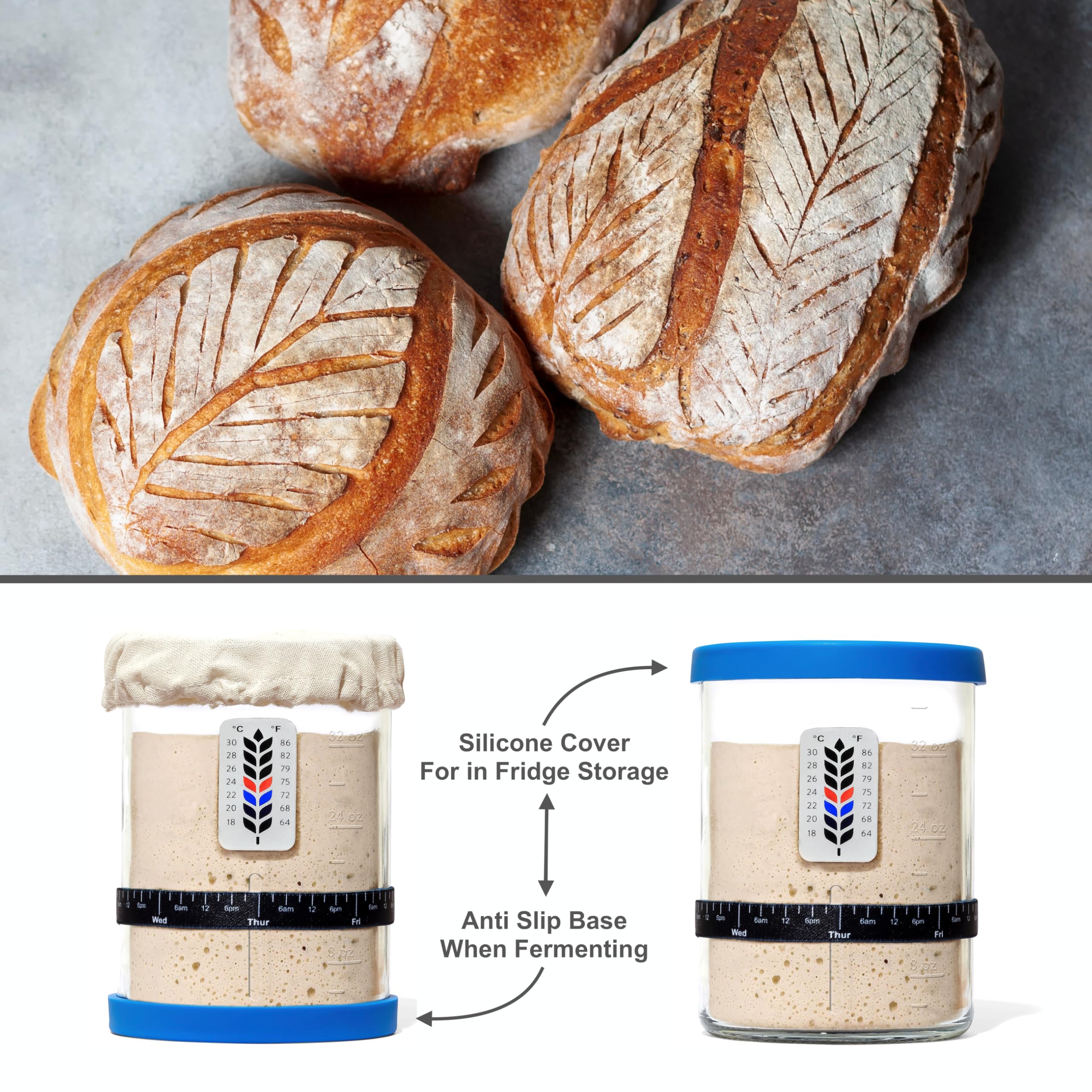 BALCI jar 40oz capacity fits multiple loaves and active starter routines