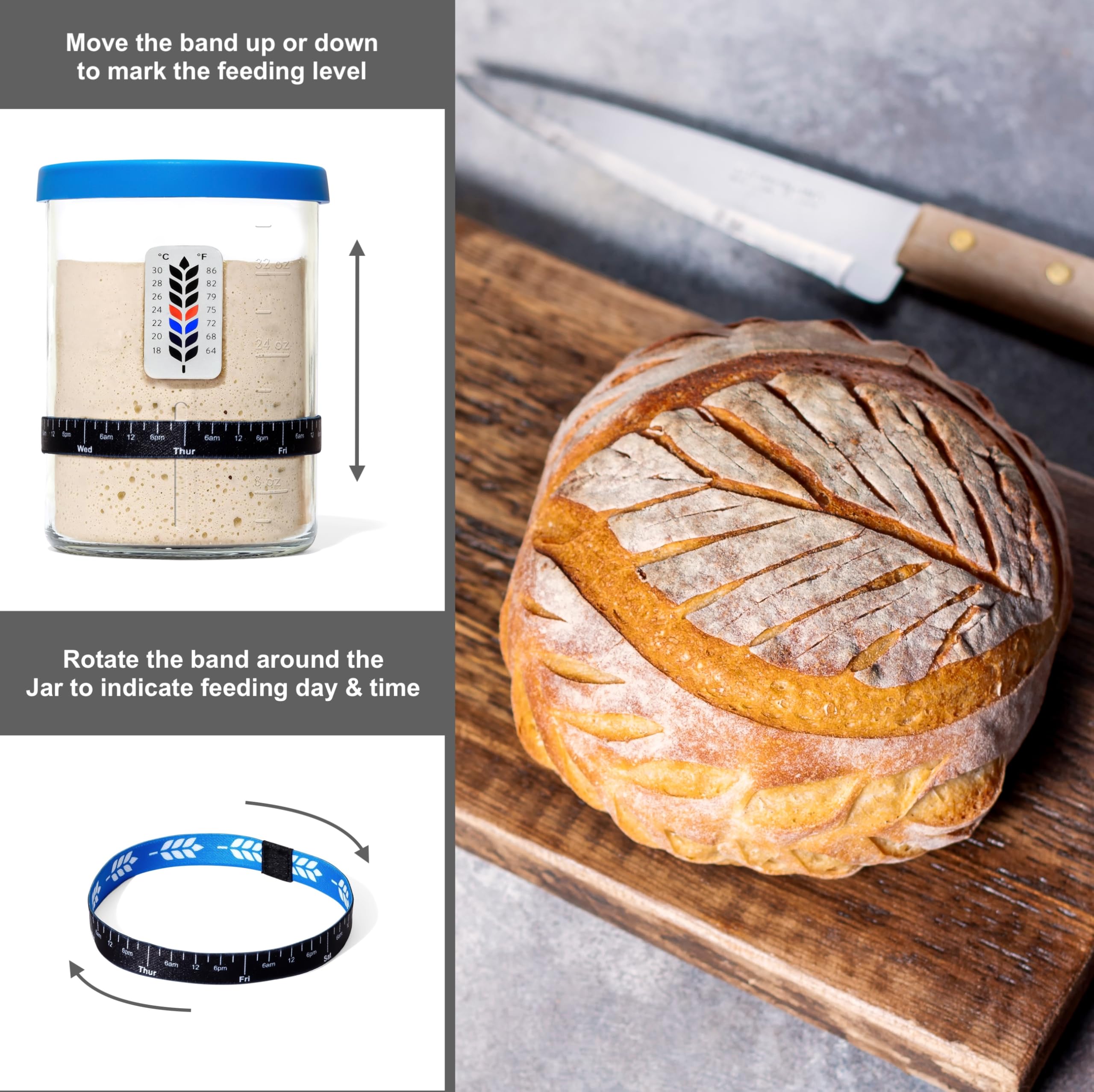 BALCI jar silicone lid-base doubles as non-slip base and lid