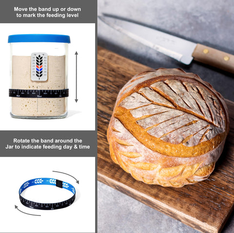 BALCI jar silicone lid-base doubles as non-slip base and lid