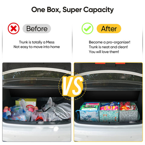 BALEINE organized loading from cart to trunk with ease.