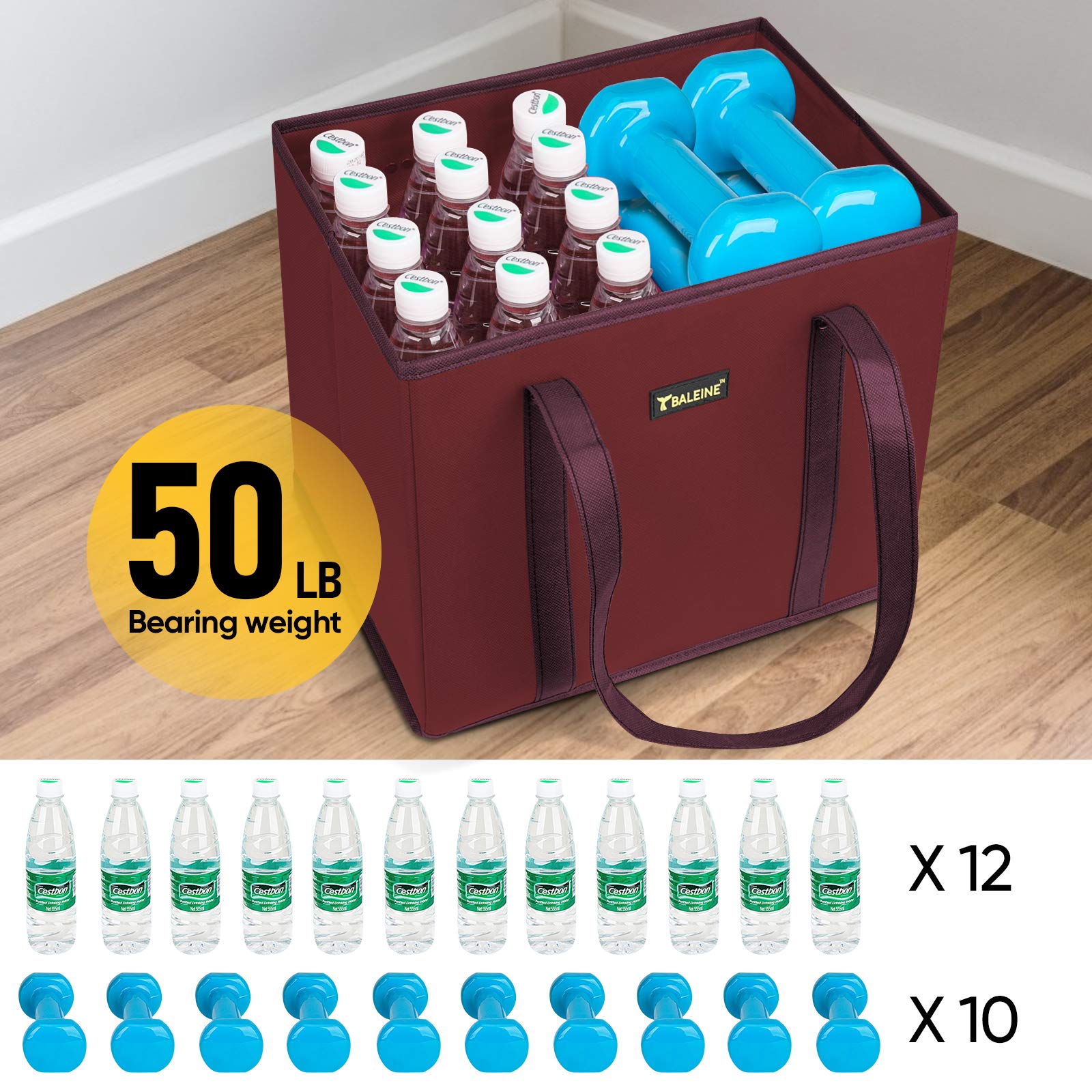 BALEINE large 10x11x13 bags fit carts and trunks